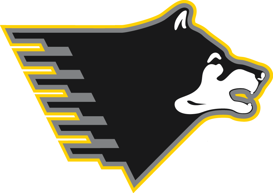 Michigan Tech Huskies 2005-Pres Partial Logo iron on transfers for clothing